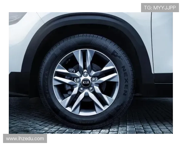 篮球运动的历史演变与全球化趋势分析及其对年轻一代的影响