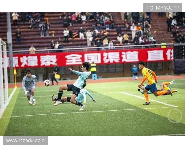 重庆排球队灵活性展现出色表现引发联赛热议与关注