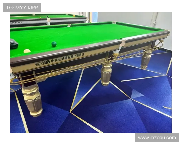 探秘台球运动技巧与竞赛文化全景呈现深度探索之旅精彩纷呈魅力篇